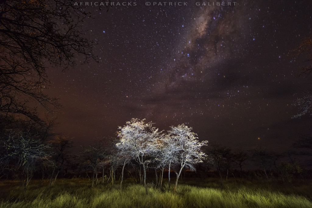 Light painting in the bush, Namibia