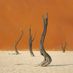 Deadvlei, Namibia galibert patrick;Patrick Galibert