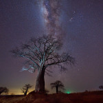Baobab at night Patrick GALIBERT                    ;Patrick Galibert